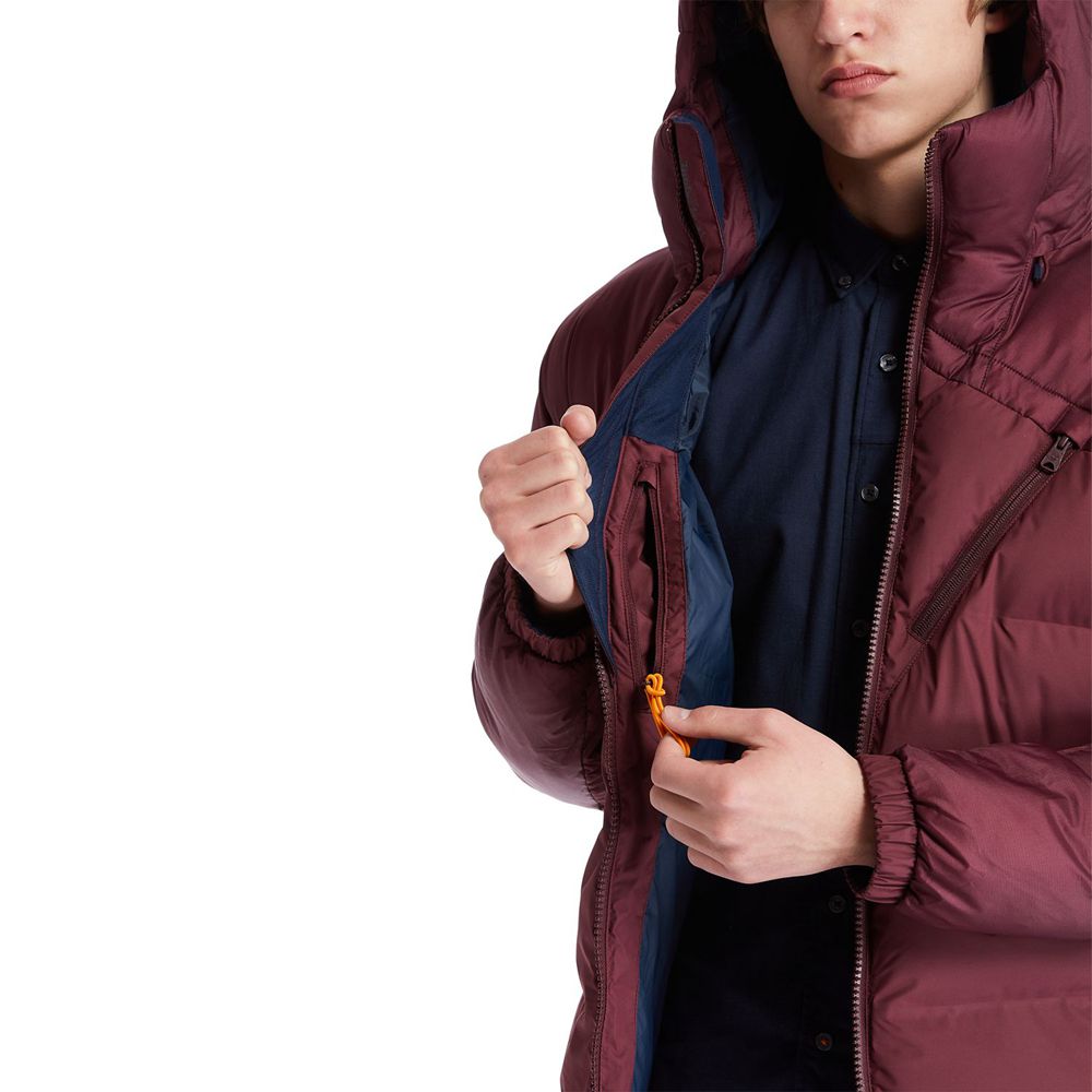 Timberland Μπουφαν Ανδρικα Μπορντο - Neo Summit Hooded Χειμώνας - Greece 9674581-BL